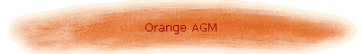 Orange AGM